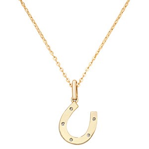 9ct Horseshoe Pendant & Necklace