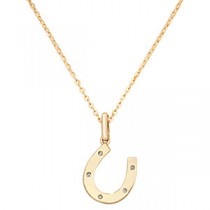 9ct Horseshoe Pendant & Necklace